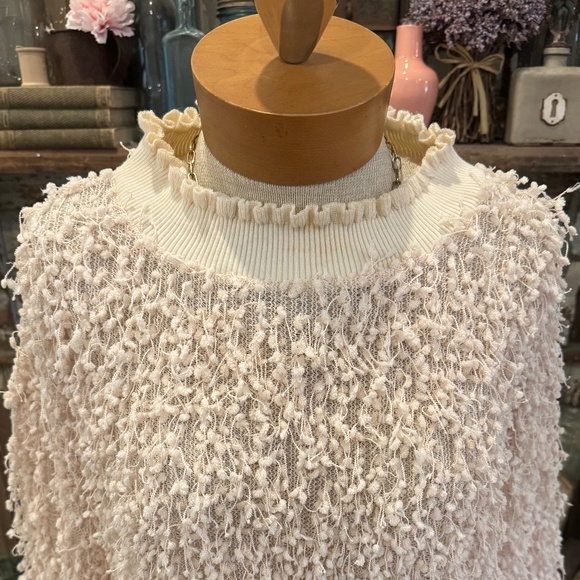 ZARA Fringed TASSEL Sweater Top | Textured Crochet Knit | Scalloped Detailing - Picture 9 of 10